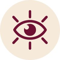 Vision